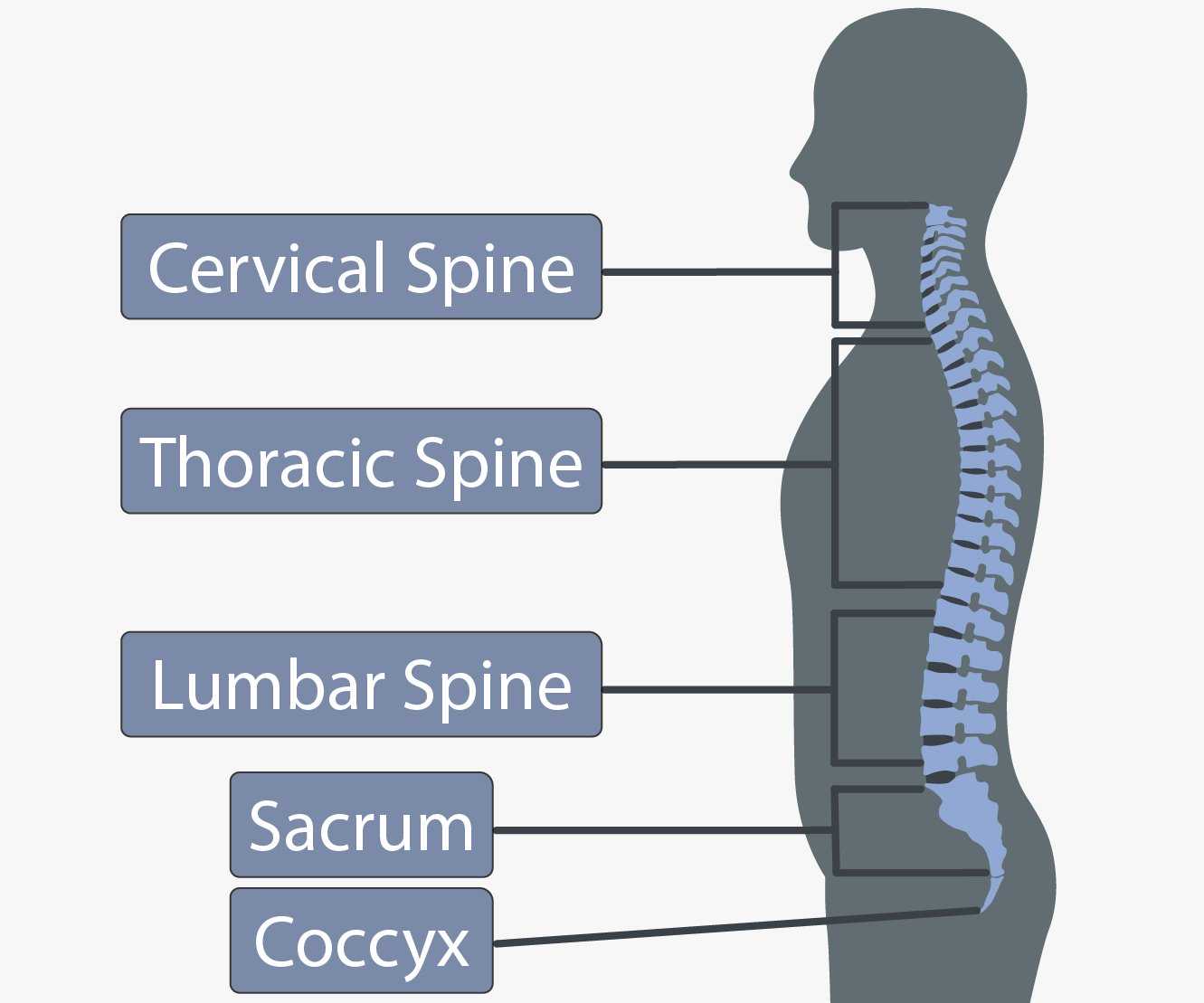 Bone Spurs Symptoms Causes What is a Bone Spur MNC